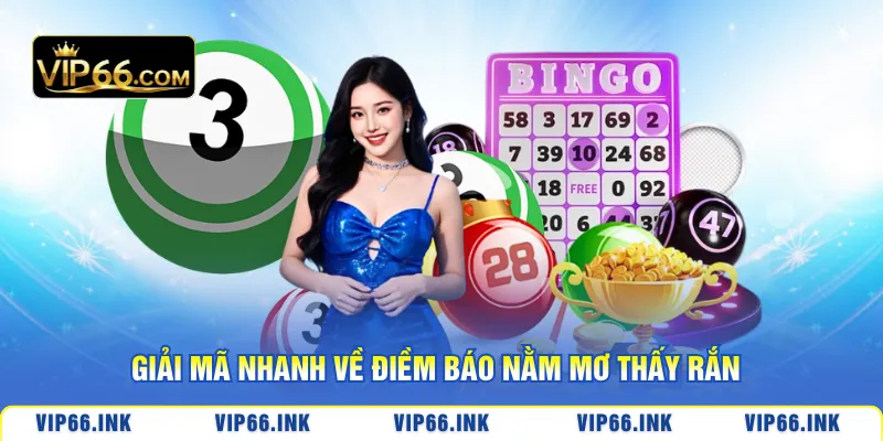 Giải mã nhanh về điềm báo nằm mơ thấy rắn